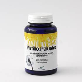 Mirtillo palustre (Cranberry) 200 capsule
