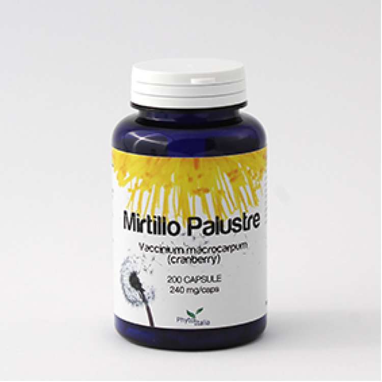 Mirtillo palustre (Cranberry) 200 cps