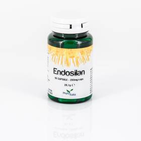 Endosilan 60 capsule