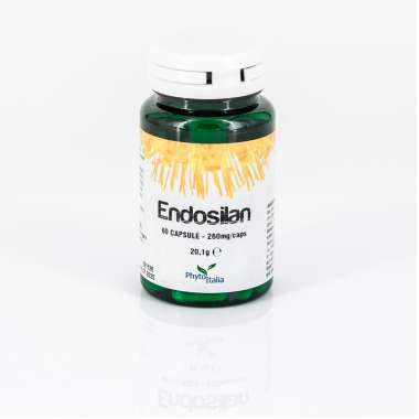 Endosilan 60 cps