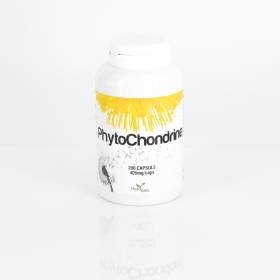 PhytoChondrine 200 capsule