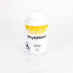 PhytoNorm 200 capsule