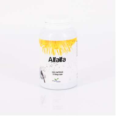 Alfalfa (Erba Medica) 200 cps