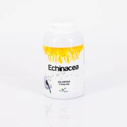 Echinacea 200 capsule