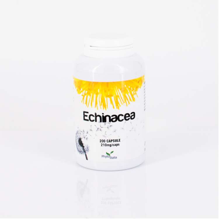 Echinacea 200 cps