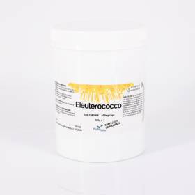 Eleuterococco 540 capsule