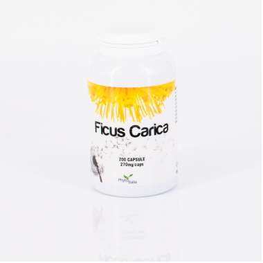 Ficus Carica 200 cps