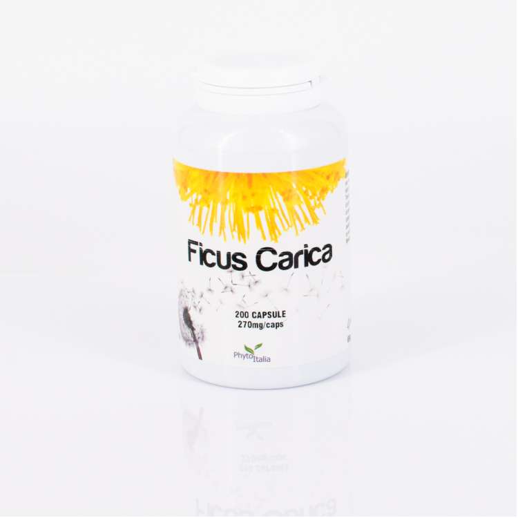 Ficus Carica 200 cps