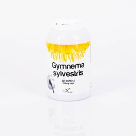Gymnema sylvestris 200 capsule