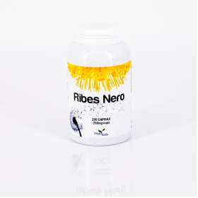 Ribes nero  (Cassis) 200 cps