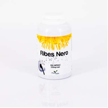 Ribes nero  (Cassis) 200 cps