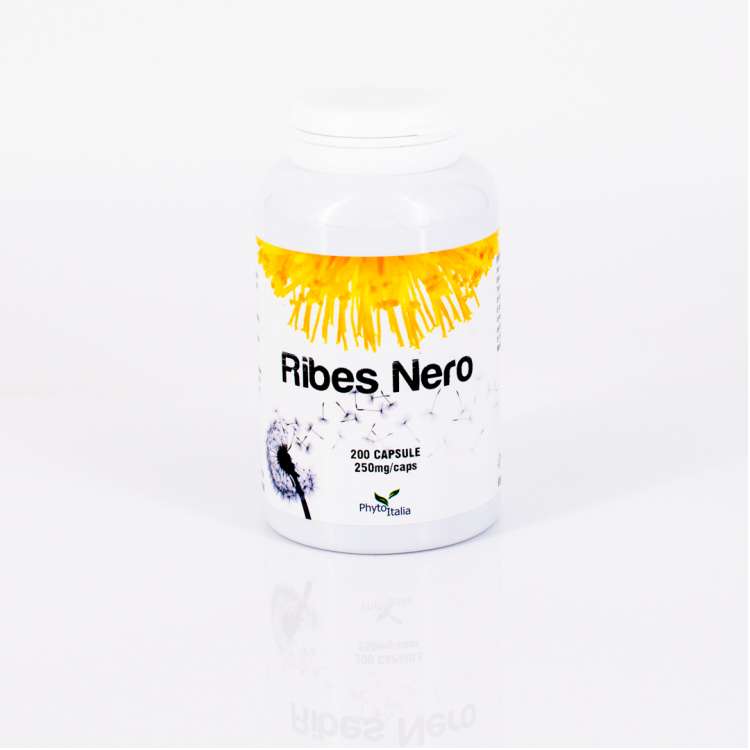 Ribes nero  (Cassis) 200 cps