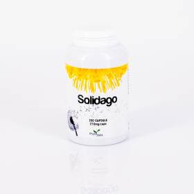 Solidago 200 capsule