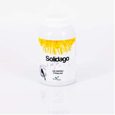 Solidago 200 cps