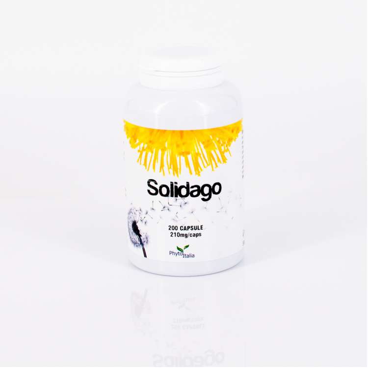 Solidago 200 cps